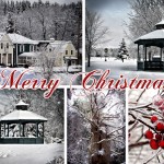 Merry Christmas Merry Christmas