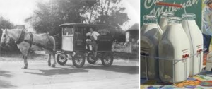 Milk wagon similar to what Mr. Vickers drove. If the glass bottles of milk were left out in the cold, the milk would freeze, and the slushy cream would push the cardboard cap up out of the bottle.