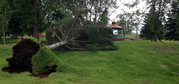 Tropical Storm Arthur