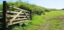 A farmer’s ‘cow gate’ very similar to the gate that we had to climb over to get to the river to go swimming.  The gate was just like this, tucked into the trees that ran alongside the railroad tracks.  But the gate at the path leading down to the river was painted a deep red, which lead to the swimming hole being called “The Red Gate”.