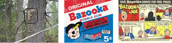 Spruce gum on the tree, and a package of Bazooka Joe bubble gum.  There was always a little comic strip joke folded up inside the Bazooka Joe gum wrapper.