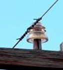 A power line insulator on a telephone pole cross beam